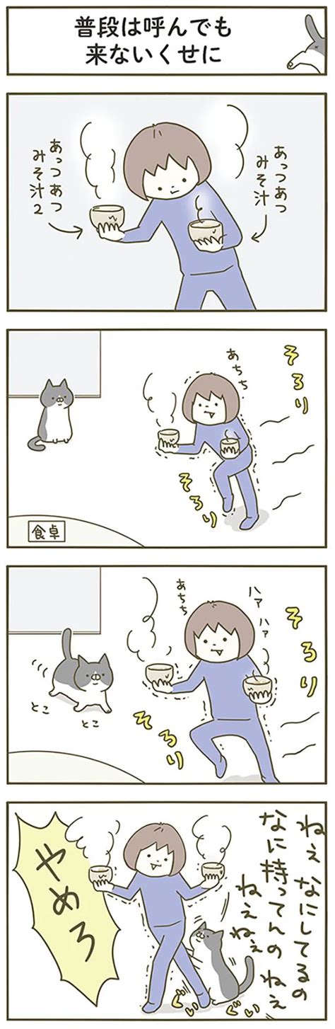 普段は呼んでも来ないくせに！／うちの猫がまた変なことしてる。（7）（画像610） レタスクラブ