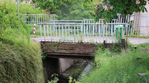 In Marienthal wird neue Bachbrücke gebaut Radio Zwickau