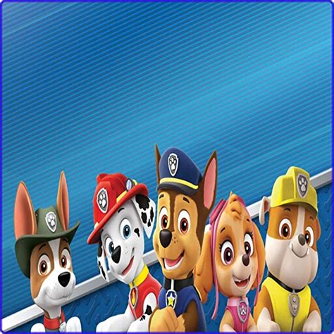 Cialda Quadrata Per Torta PAW PATROL Decorazione Alimentare Senza