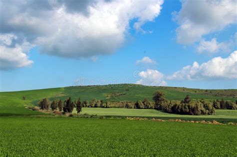 Discovering The Countryside Surrounding Mateur In Tunisia Stock Photo