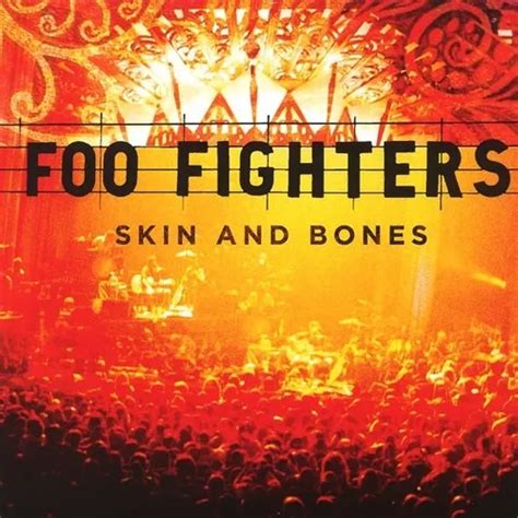 Foo Fighters Skin And Bones Lp Acetato Vinyl Meses Sin Inter S