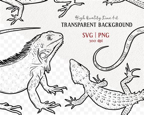 10 Lizard Svg Clipart Bundle Reptile Vector Drawings Etsy