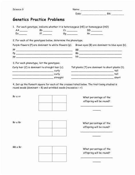 50 Genetics Practice Problems Simple Worksheet