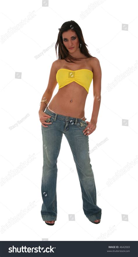 Sexy Hot Brunette Woman Model Isolated Stock Photo 4642069 Shutterstock
