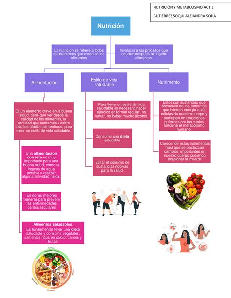 Cuadro Sinoptico De La Nutricion Geno Porn Sex Picture