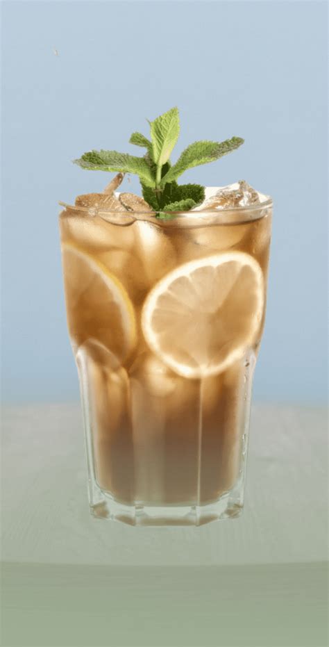 Choco Passion Mojito Monin