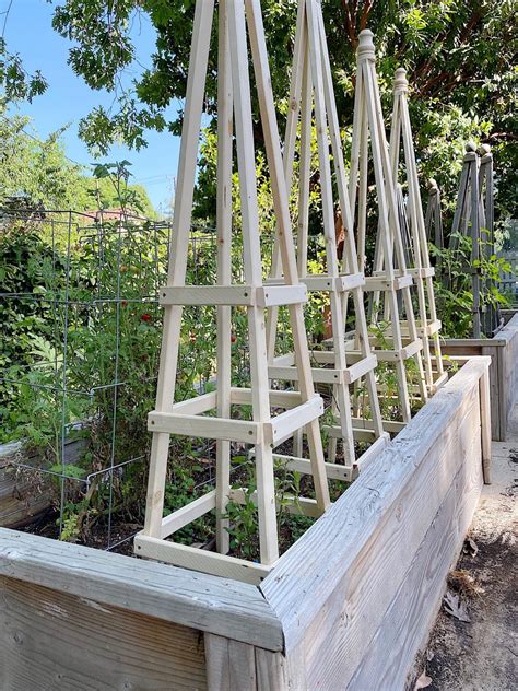 Diy Wood Tomato Trellis The Best Homemade Tomato Cages Organic Gardening Mother Earth News