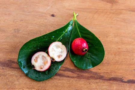 Goiaba De Cattley Fruta Vermelha De Psidium Cattleyanum Em Background