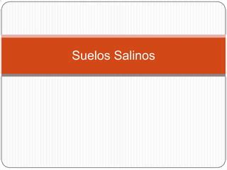 Suelos Salinos Ppt