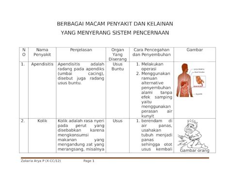 DOCX Berbagai Macam Penyakit Yang Menyerang Sistem Pencernaan