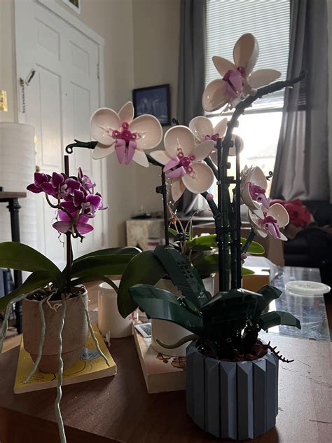 I completed my Lego orchid today! I’m so excited! : r/orchids