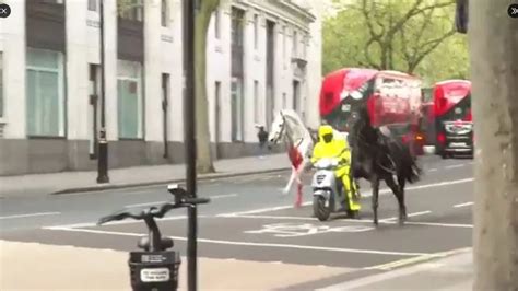 Vídeo cavalo ensanguentado corre na rua após ferir 5 pessoas