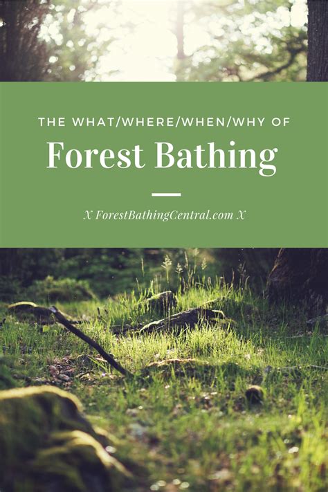 The Benefits Of Forest Bathing Artofit