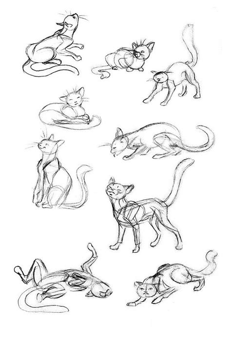 Cat Poses Drawing at PaintingValley.com | Explore collection of Cat ...