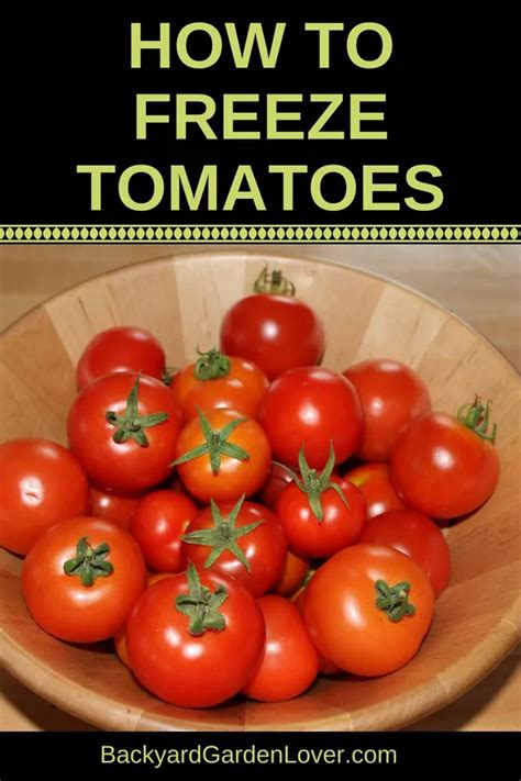 How To Freeze Tomatoes For Winter Freezing Tomatoes Fresh Tomato Recipes Freezing Vegetables