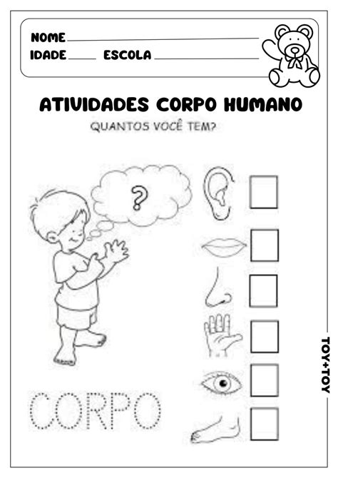 Atividades Corpo Humano TOY TOY