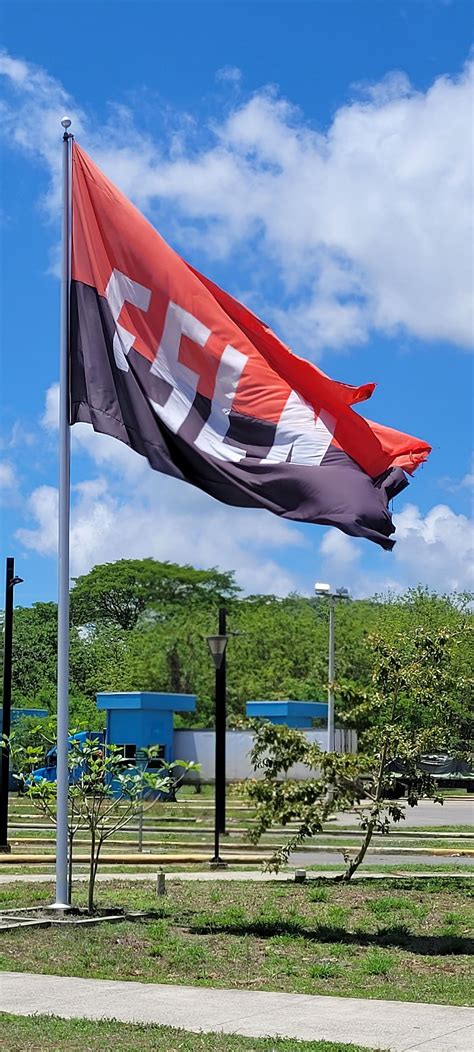 Flag of the Sandinista National Liberation Front : r/vexillology