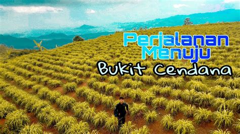 Rute Menuju Bukit Cendana Padang Cermin Pesawaran Lampung