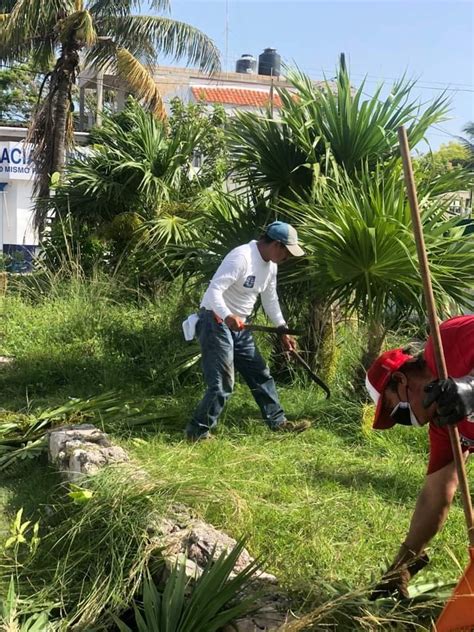 Trabaja Parques Y Jardines En El Cuidado De Las Reas Verdes En Isla