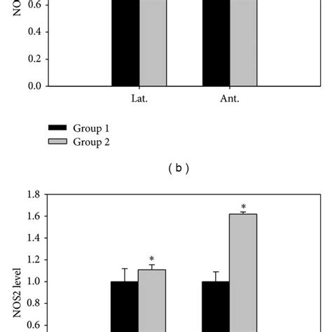 The effect of 5-alpha reductase inhibitor on expression of E ...