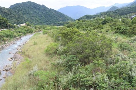 東河溪南庄橋淤積居民憂心釀災 鍾東錦邀河川局會勘商討整治方案