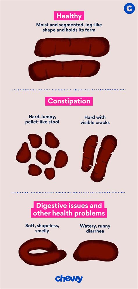 Dog Poop Color Chart: Is Your Dog's Poop Healthy? | BeChewy