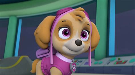 Watch Paw Patrol Season 5 Episode 1 Pups Save A High Flying Skyepups