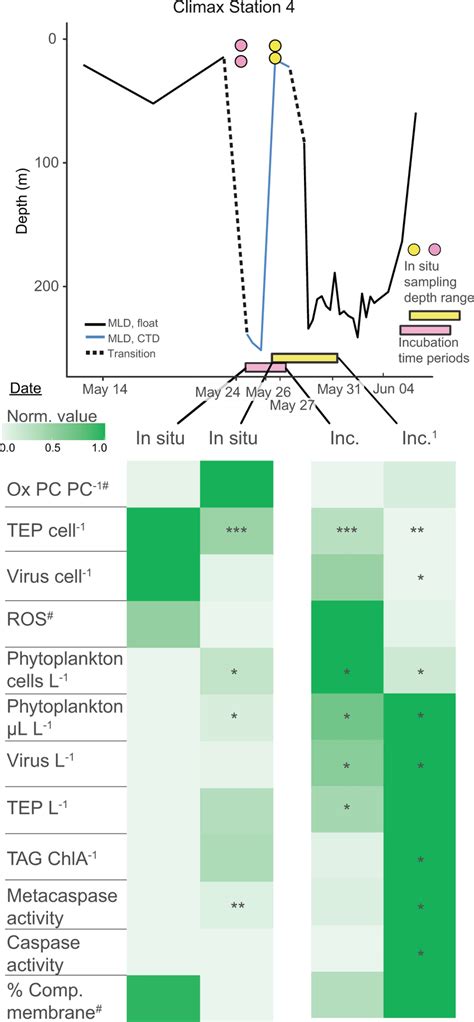 Physiological State Of Phytoplankton Transitioning From A Deep To A