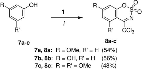 Scheme 5. One-pot synthesis of 1,2,3-benzoxathiazine-2,2-dioxides 8a-c.... | Download Scientific ...