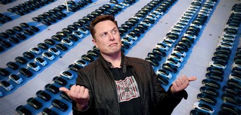 Elon Musk Kontroverses Projekt Ist Experten Ein Dorn Im Auge