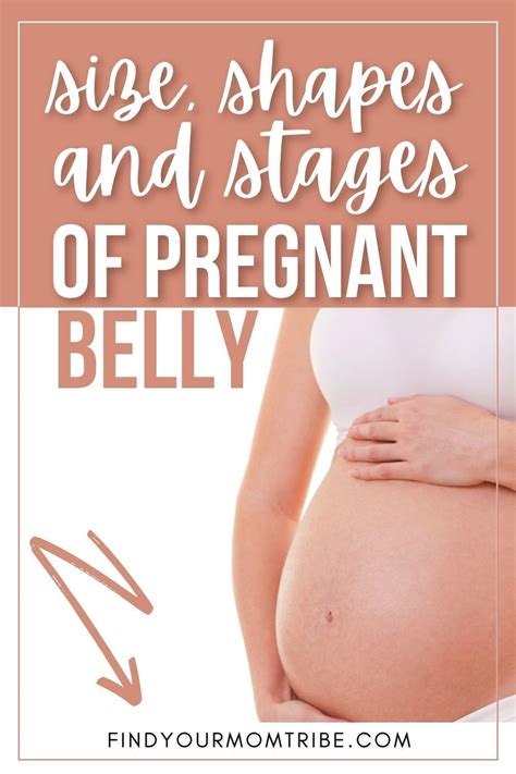 Pregnant Belly Stages Artofit