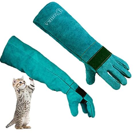 Best Gloves For Handling Birds