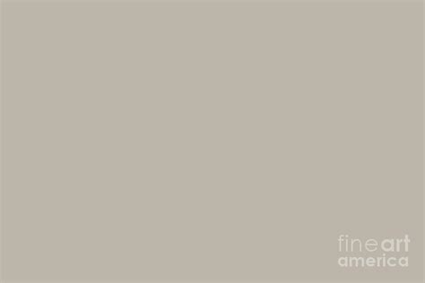 Cool Neutral Light Pastel Beige Solid Color Digital Art by PIPA Fine Art - Simply Solid - Fine ...