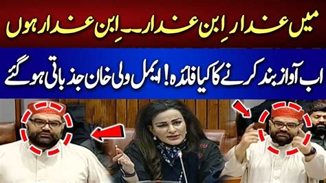 Mai Ghadar Ka Beta Hu Aimal Wali Khan Agressive Speech In Senate