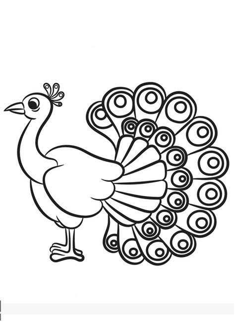 Cute Peacock Coloring Pages Free Printable Templates