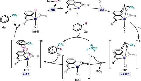 Bi Catalyzed Trifluoromethylation Of C Sp2 H Bonds Under Light