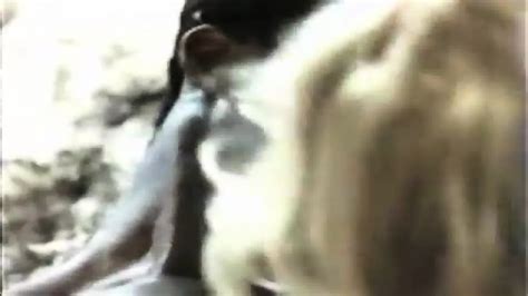 Milf Interracial Cuckold