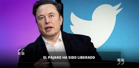 Elon Musk Compró Twitter El Pájaro Ha Sido Liberado Canal 1