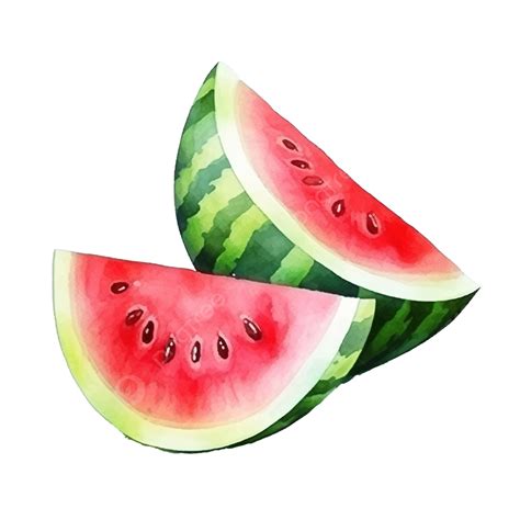 Watermelon Watercolor Illustration Sweet Watercolor Natural Png