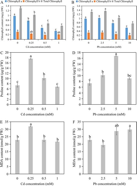 The Effect Of Solution Cd And Pb On The Concentration Of Chlorophyll A