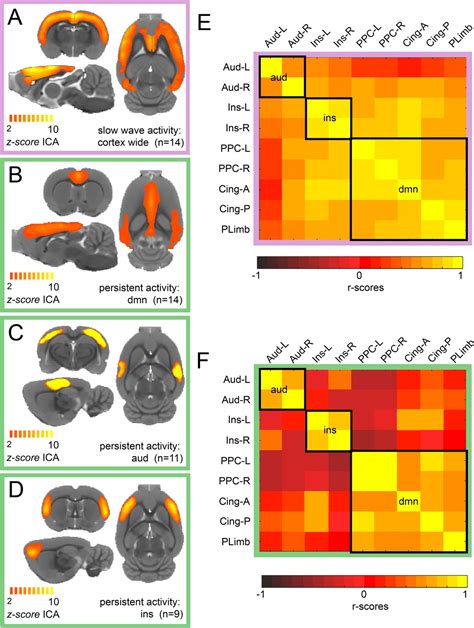 Brain States Govern The Spatio Temporal Dynamics Of Resting State Functional Connectivity Elife