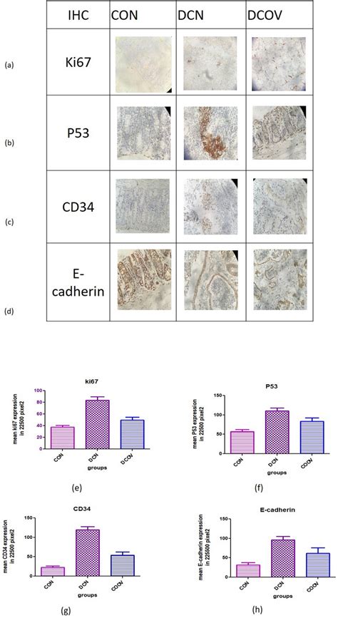 Representative Figure Of Immunohistochemical Staining And Effect Of