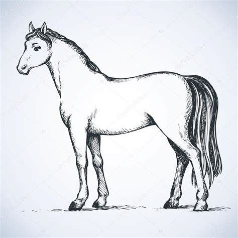 Dessin Cheval Blanc : Dessin cheval noir