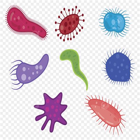 Vector De Dibujos Animados De Colección Bacterias Coronavirus PNG