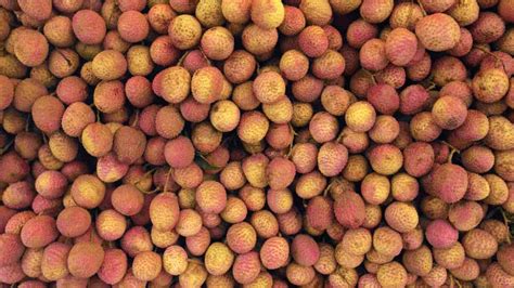 Qual Fruta O Caroço Fica Do Lado De Fora - Confira o passo a passo de como plantar lichia a partir do caroço da ...