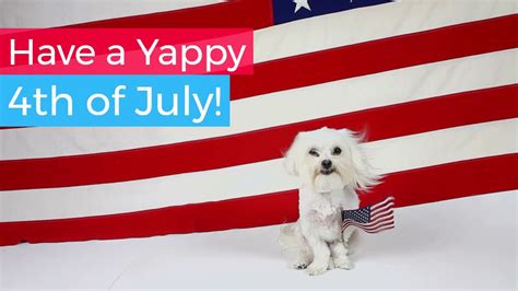 Yappy 4th Youtube