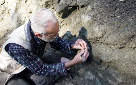 Amateur Fossil Hunter Leigh Love Rnz