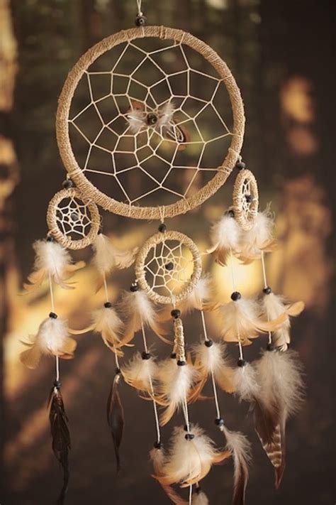 Diy Dreamcatcher Ideas Instructions Inspiration