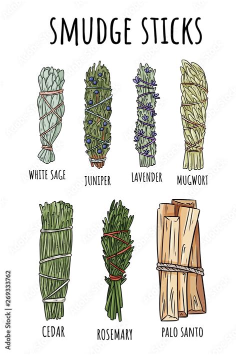 Sage Smudge Sticks Hand Drawn Set Of Doodles Herb Bundles Collection