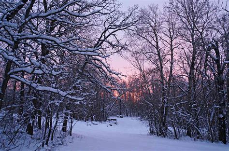 A Wondrous Winter Hike Through North Dakota's Parks